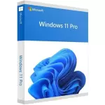 Microsoft Windows 11 Singapore | OEM & ESD Licenses | Home & Pro | Contact for Pricing